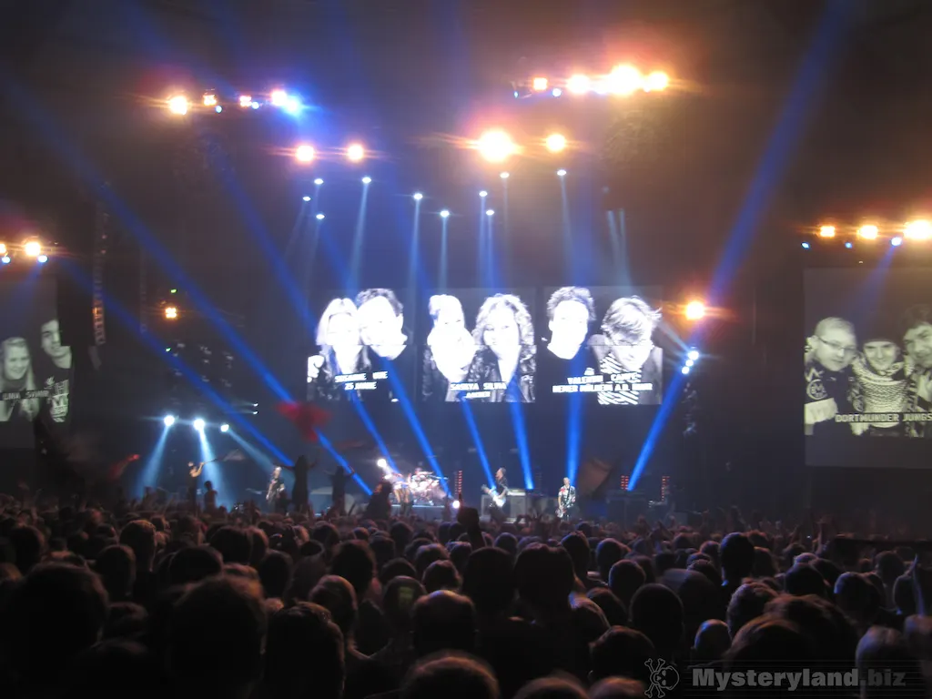 Die Toten Hosen live vor dem Publikum