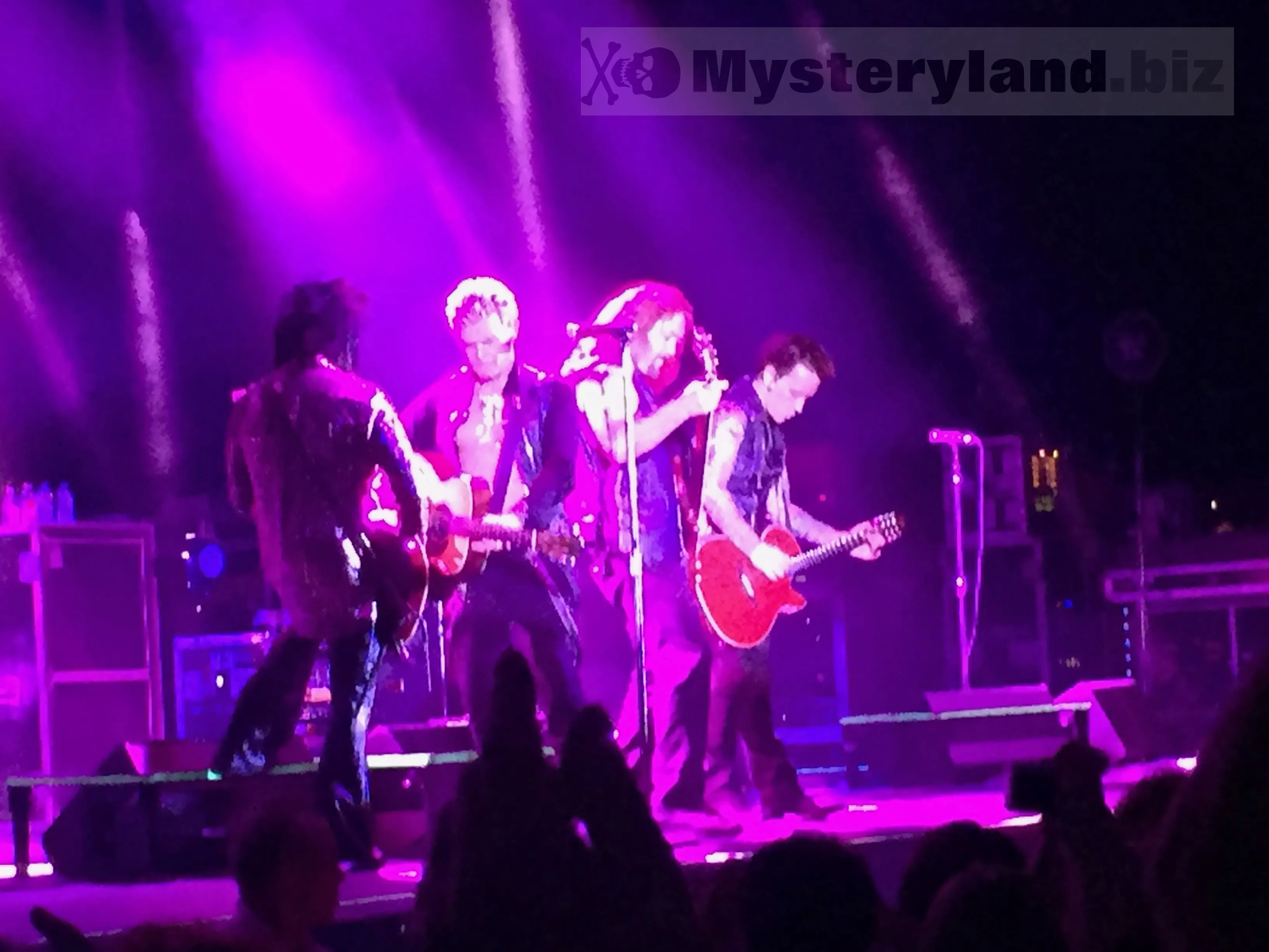 Konzertaufnahme von Billy Idol in der Mitsubishi Electric Halle