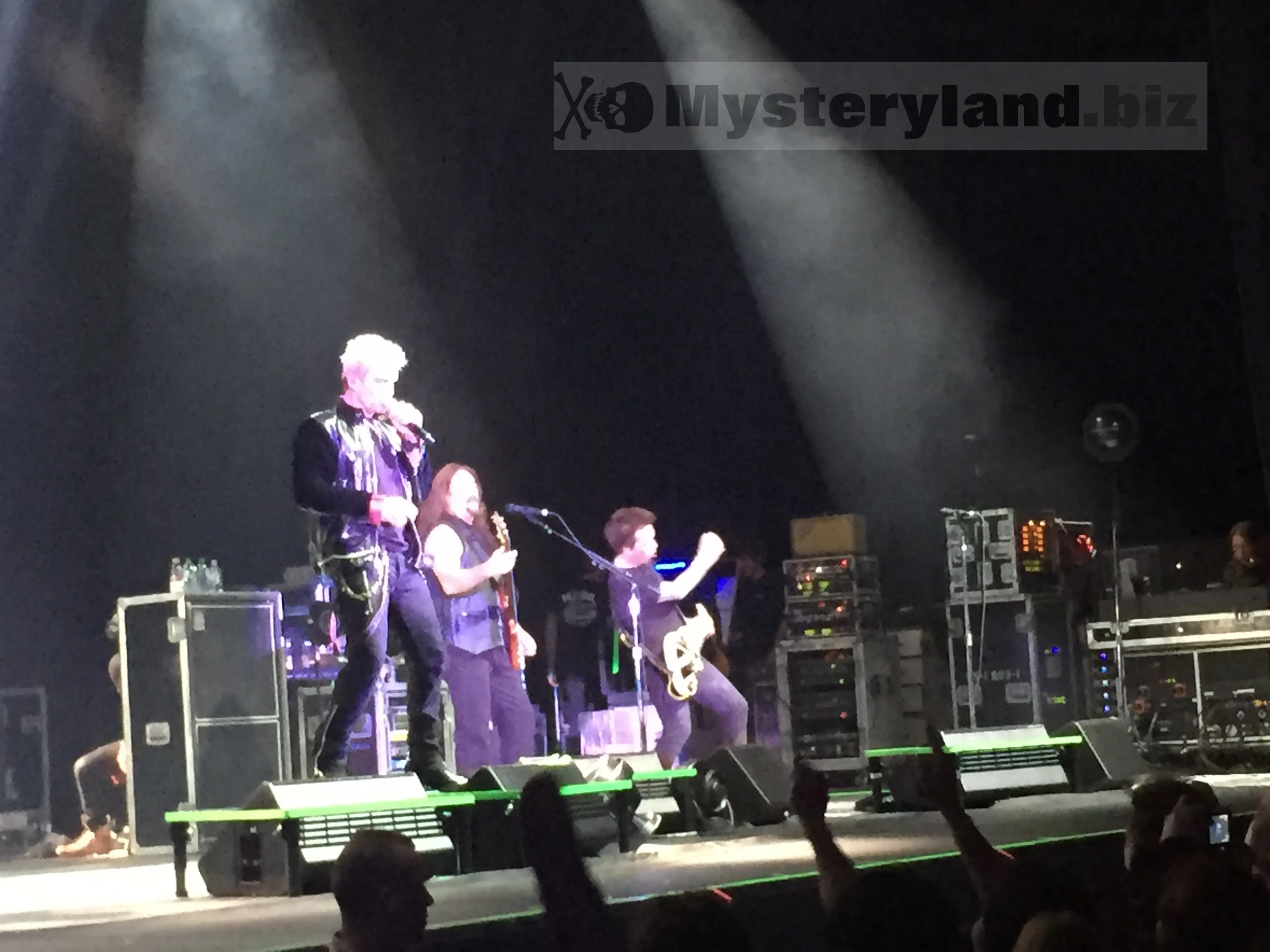 Konzertfoto von Billy Idol in Düsseldorf