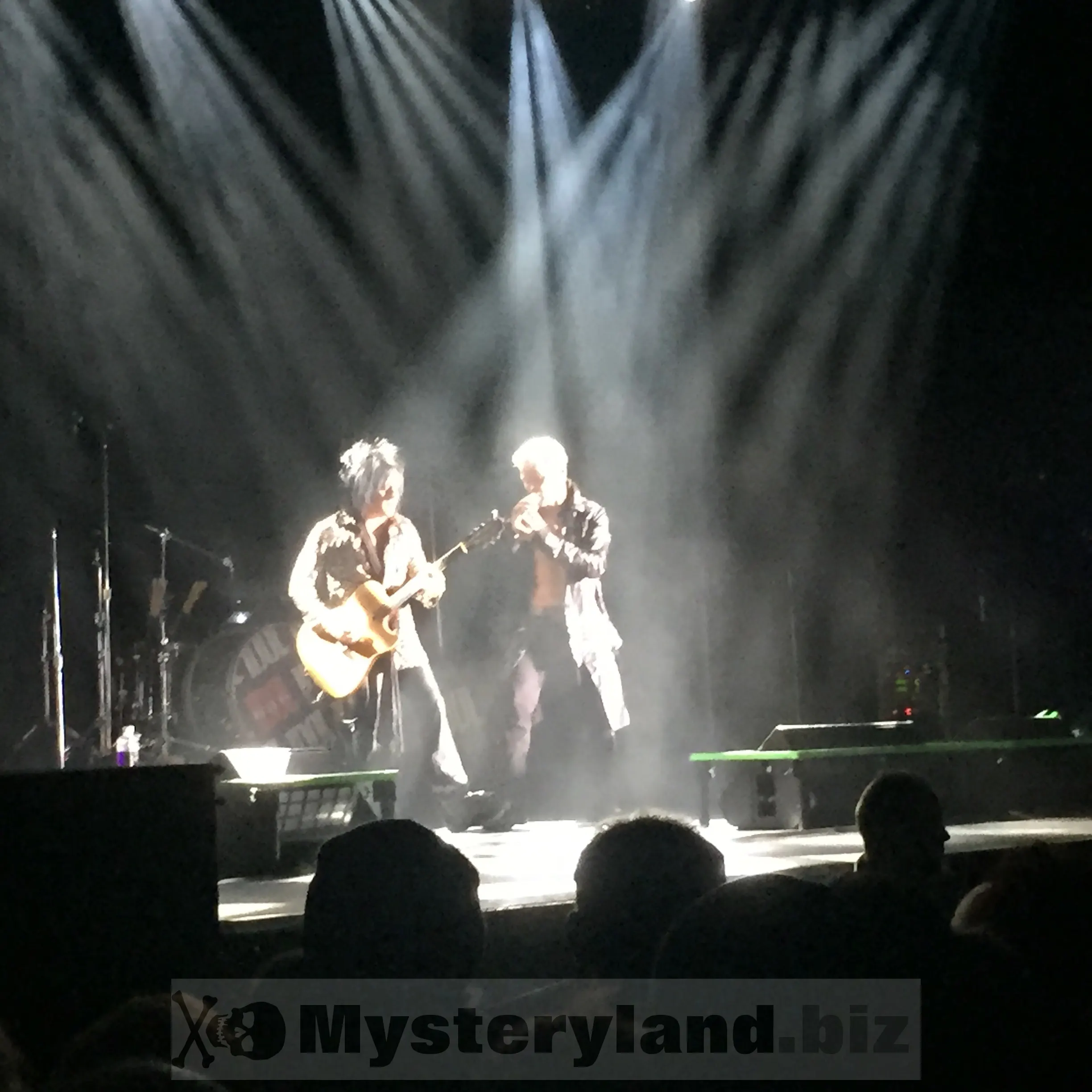 Billy Idol während des Konzerts in Düsseldorf